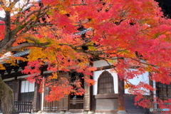 相国寺 法堂