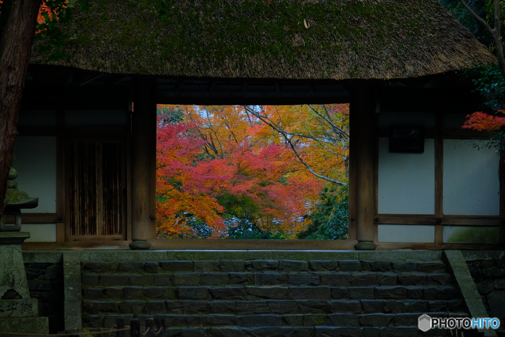 法然院・紅葉