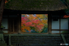 法然院・紅葉