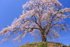 悠久の時を経て