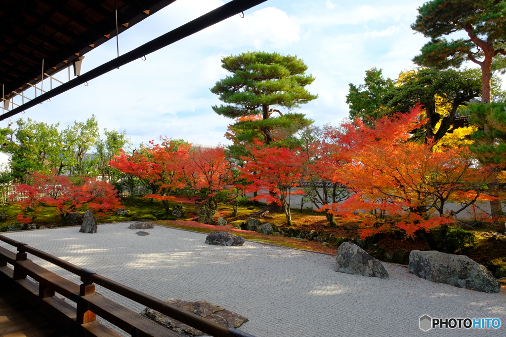 相国寺 開山堂庭園