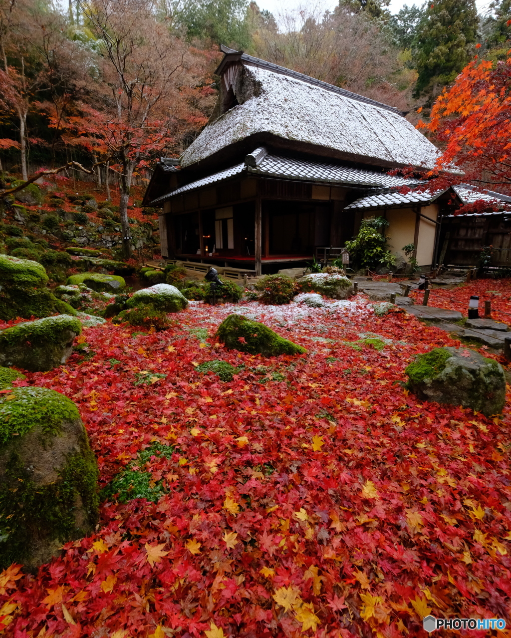雪と敷き紅葉の教林坊