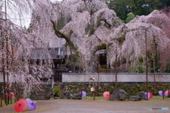 秩父　清雲寺