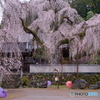 秩父　清雲寺