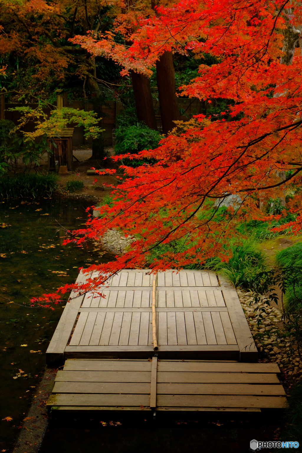 明月院　後庭園