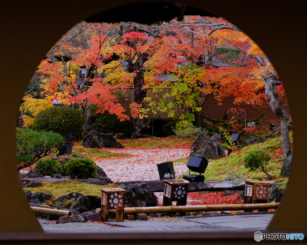 丸窓から眺める晩秋の庭園