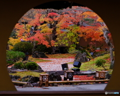 丸窓から眺める晩秋の庭園