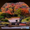 丸窓から眺める晩秋の庭園