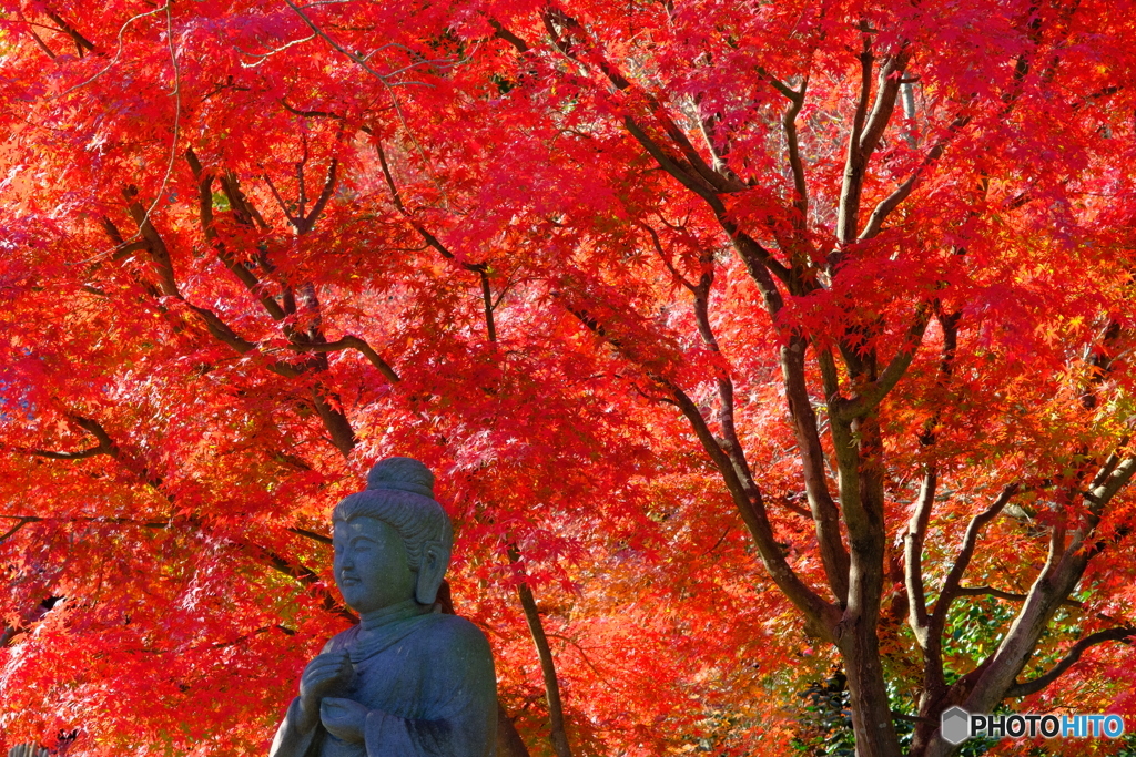 真紅に鎮座