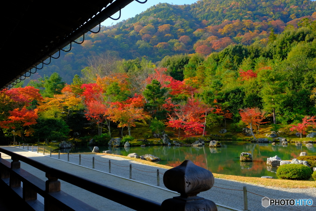 天龍寺 曹源池庭園