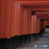 千本鳥居