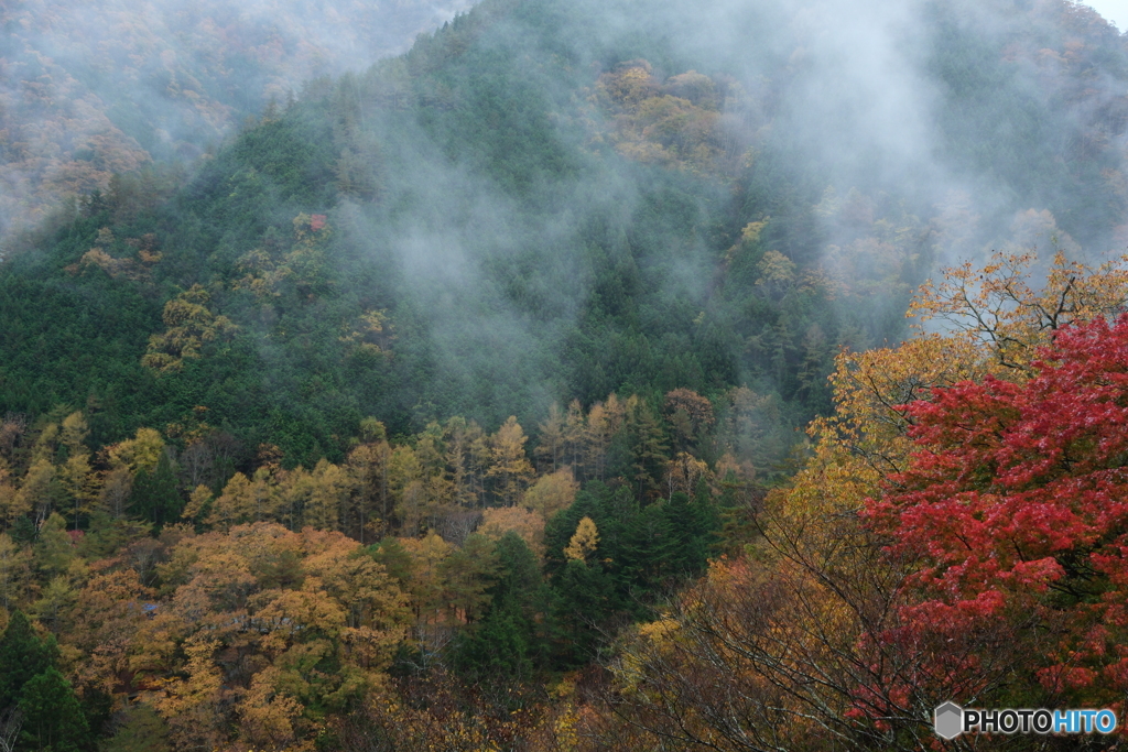 里山霞て