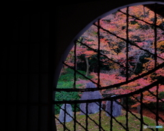 丸窓からの紅葉