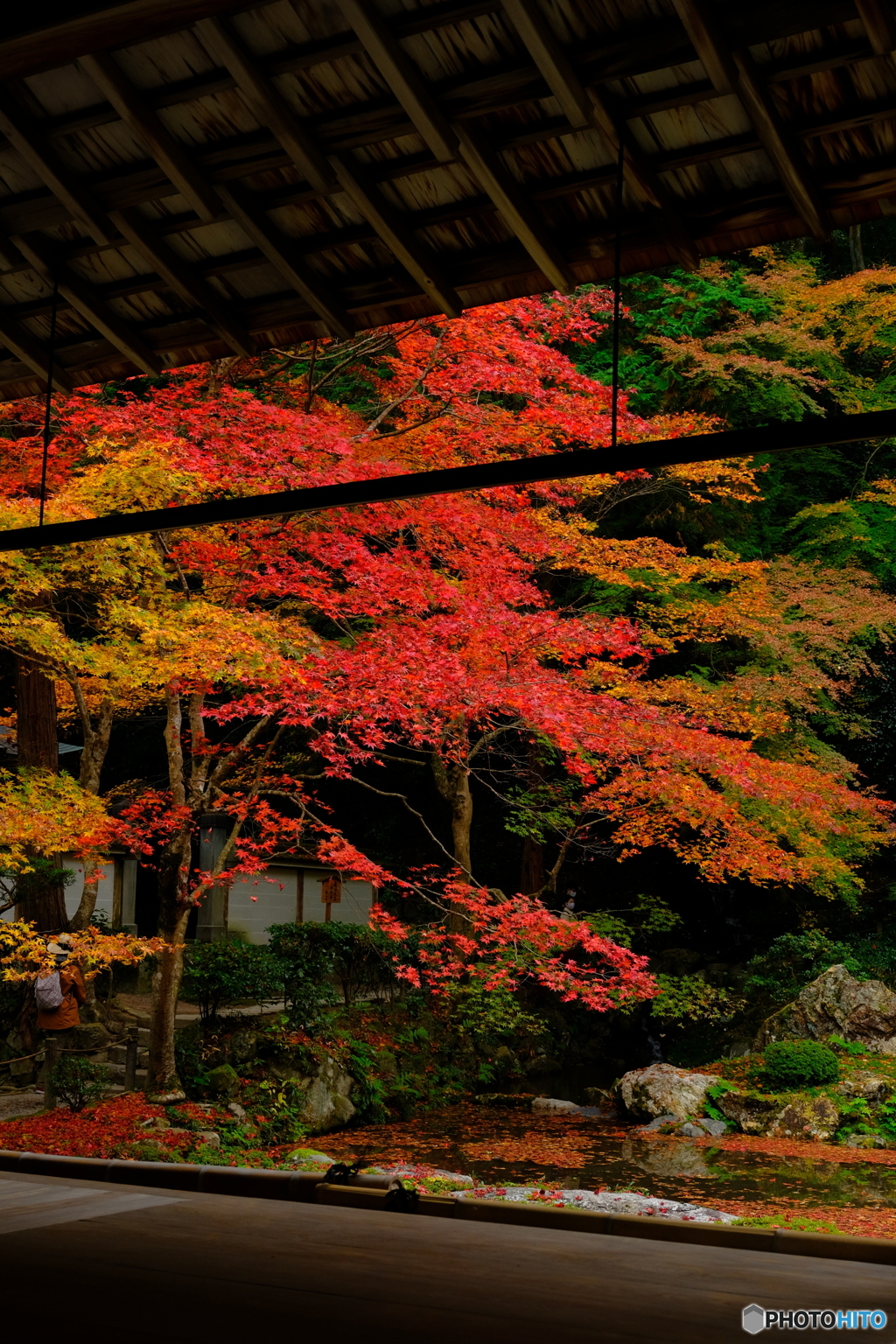 南禅寺 南禅院