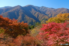 三峯神社からの眺め