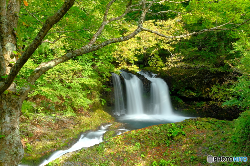 鐘山の滝