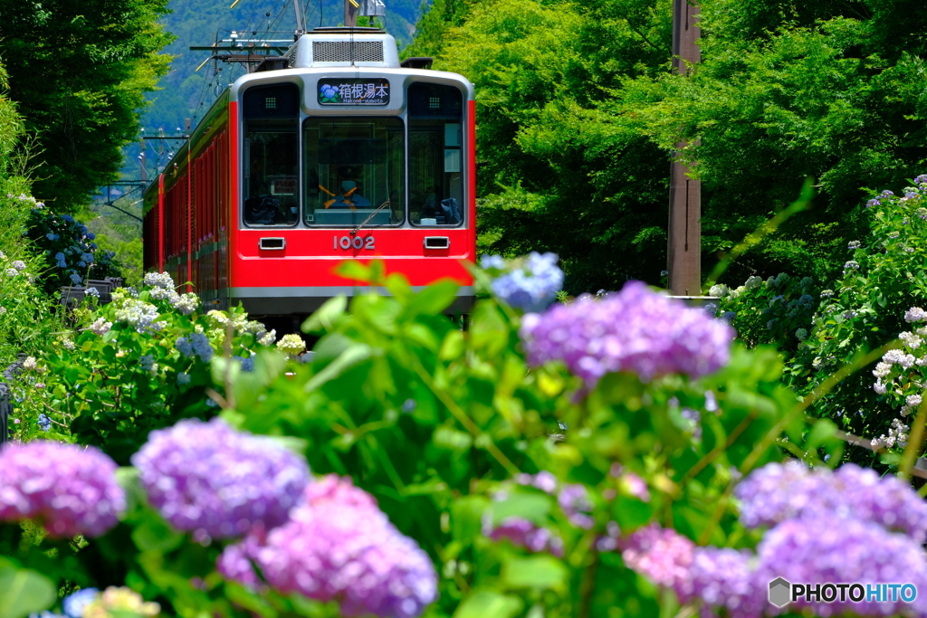 箱根登山電車