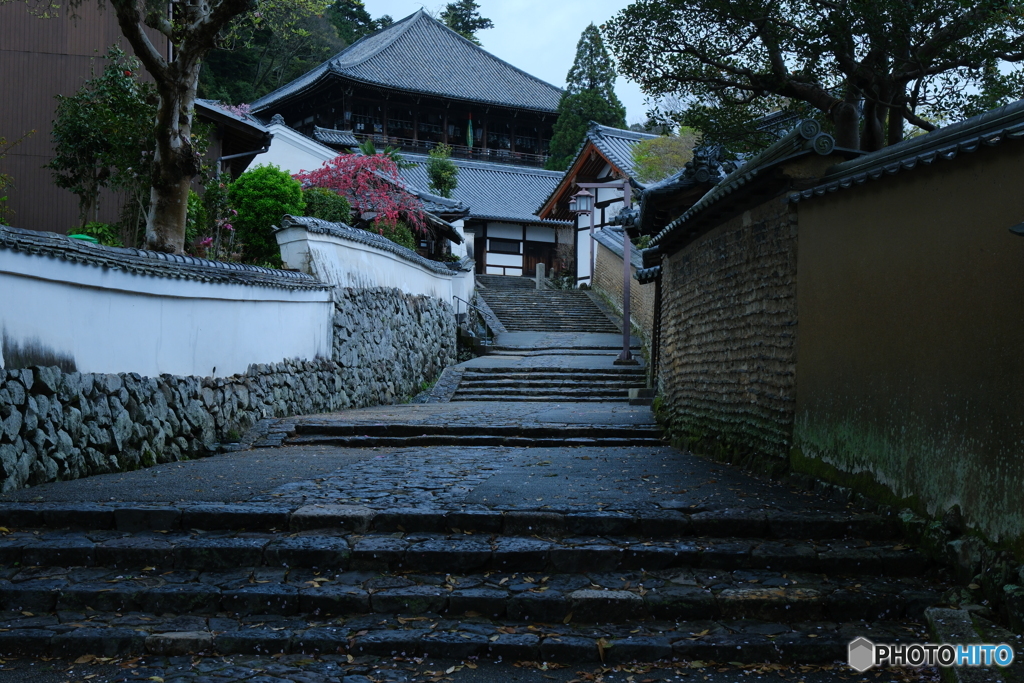 雨の二月堂裏参道