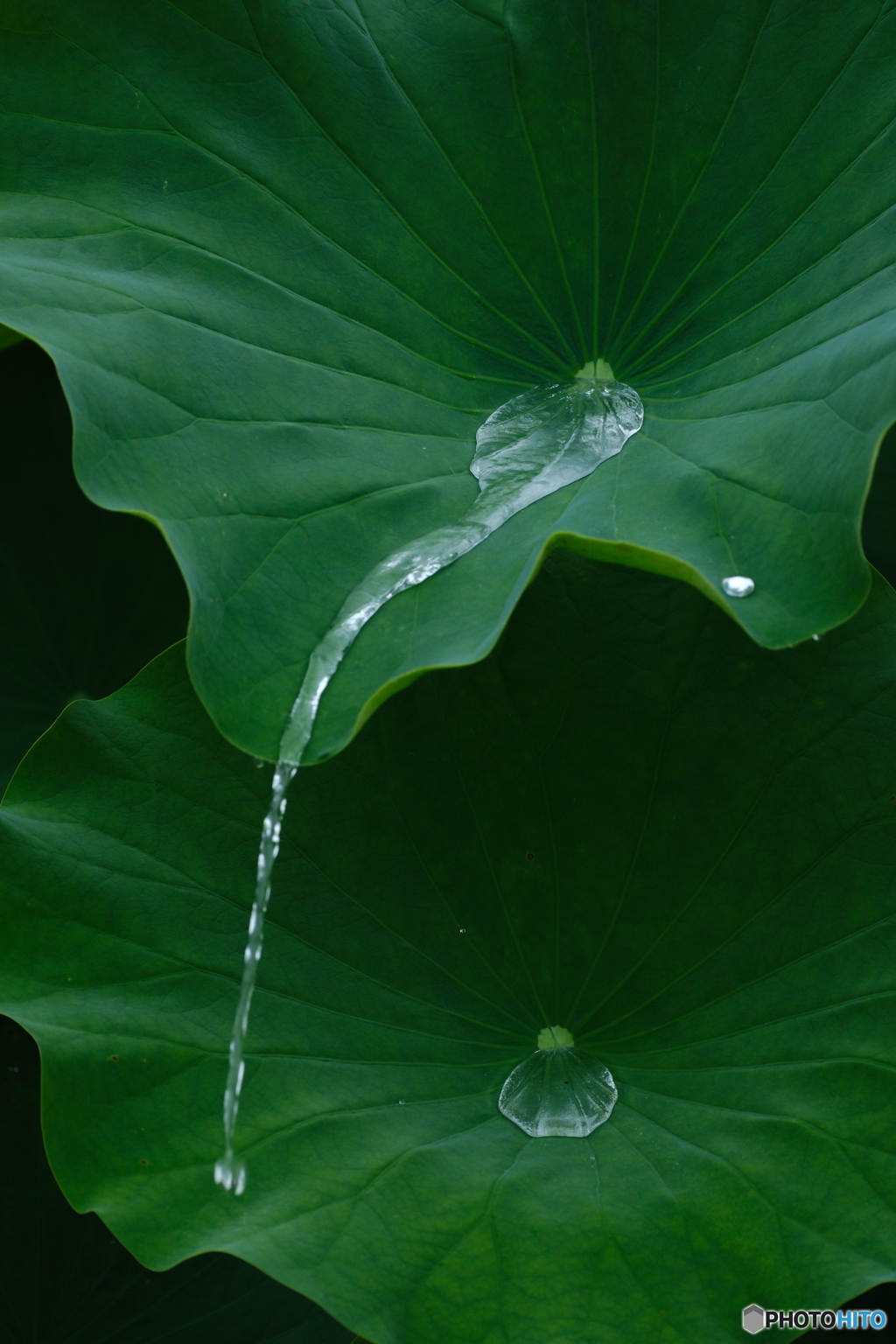 夏水