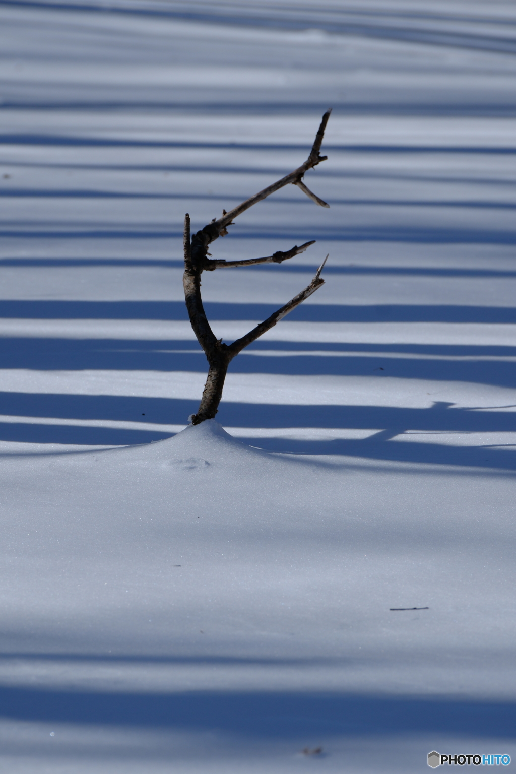 Snow＆Shadow