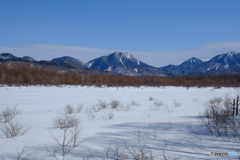 雪原の小田代ヶ原