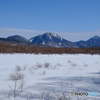 雪原の小田代ヶ原