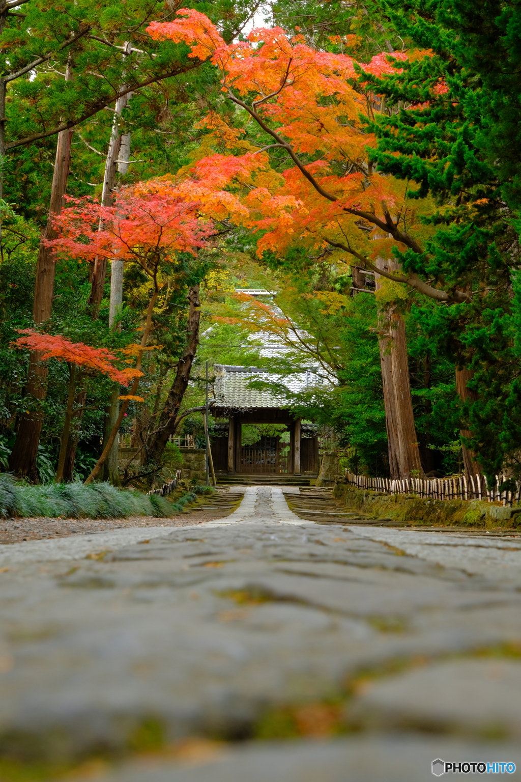 鎌倉一の参道