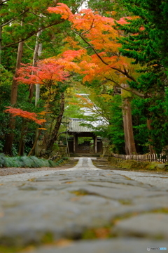 鎌倉一の参道