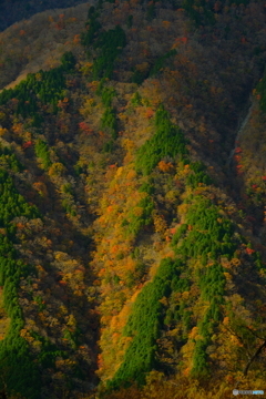 丹沢の尾根に陽が当たったとき