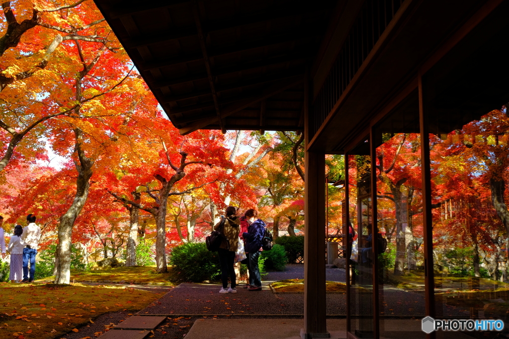 箱美の紅葉①