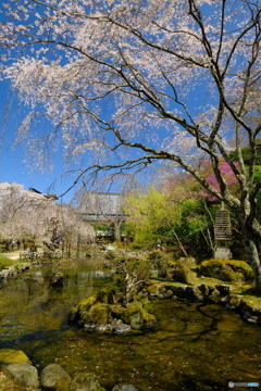 竹林院群芳園