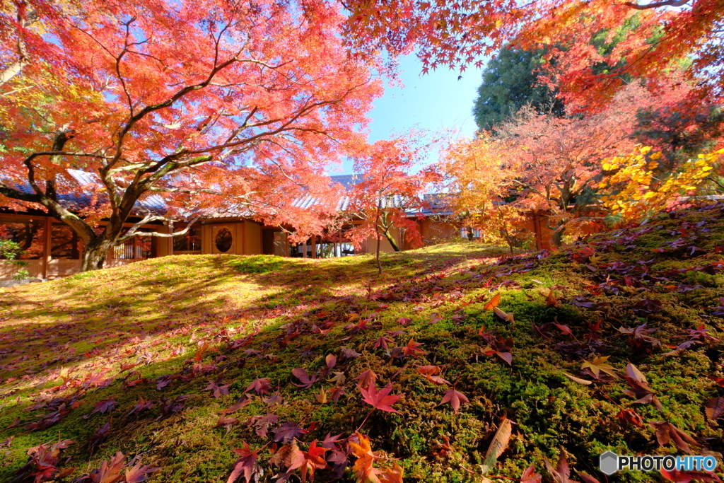 京都の庭師が作庭したと庭園