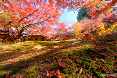 京都の庭師が作庭したと庭園