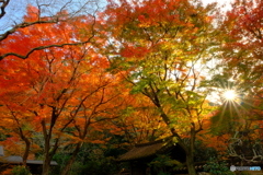 紅葉前線の終着寺