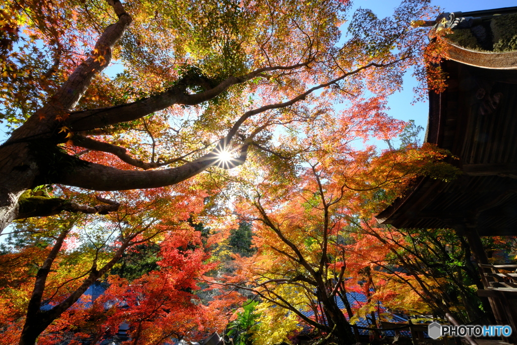 光る石山寺へ