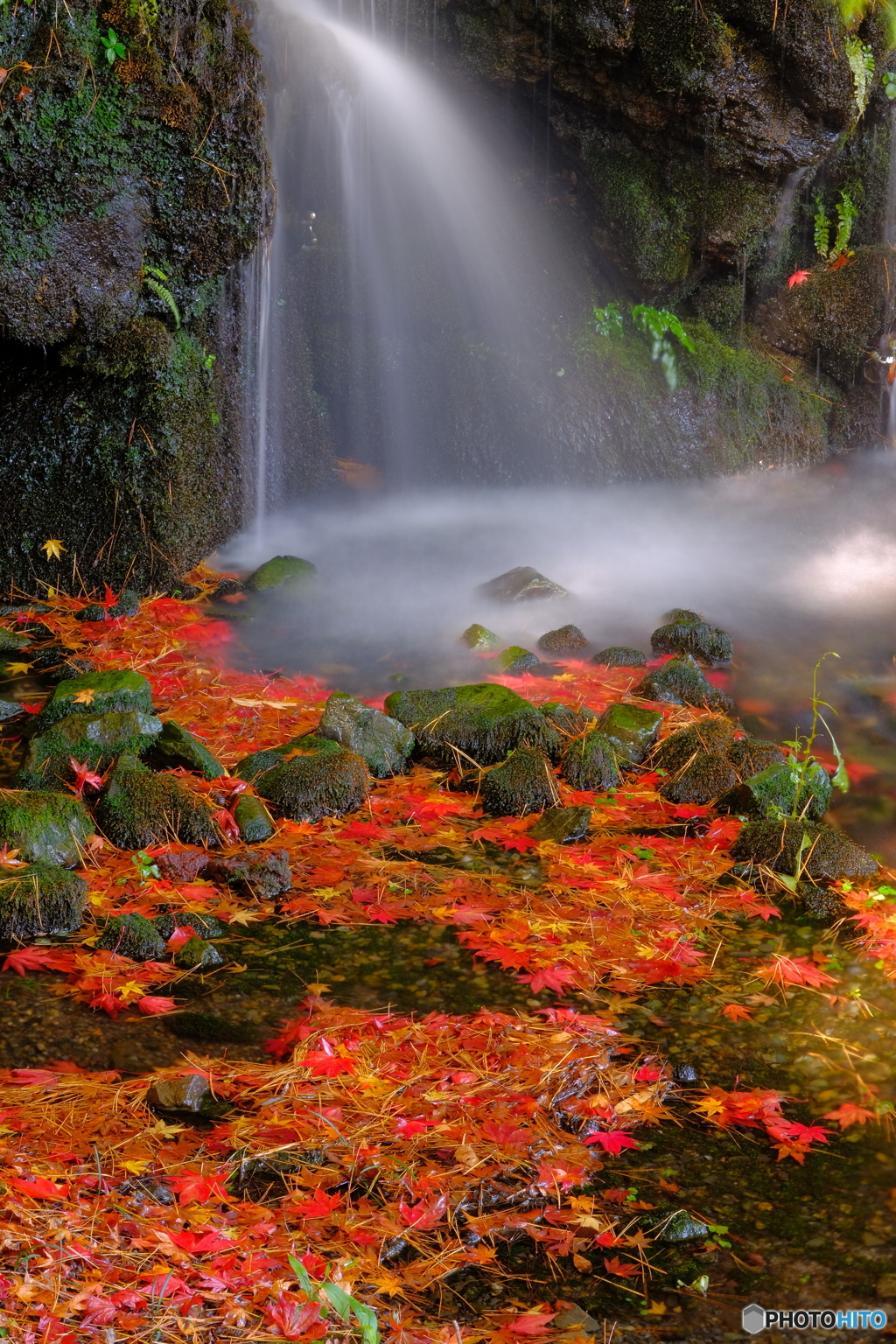 水辺の秋景