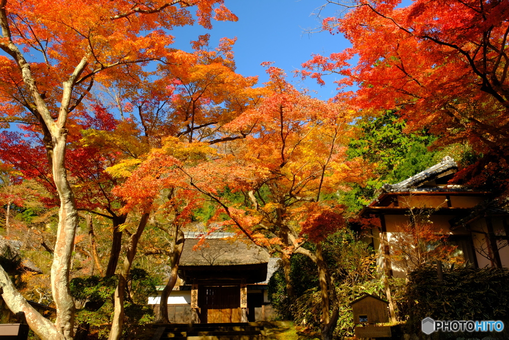 円覚寺・居士林