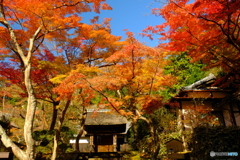 円覚寺・居士林