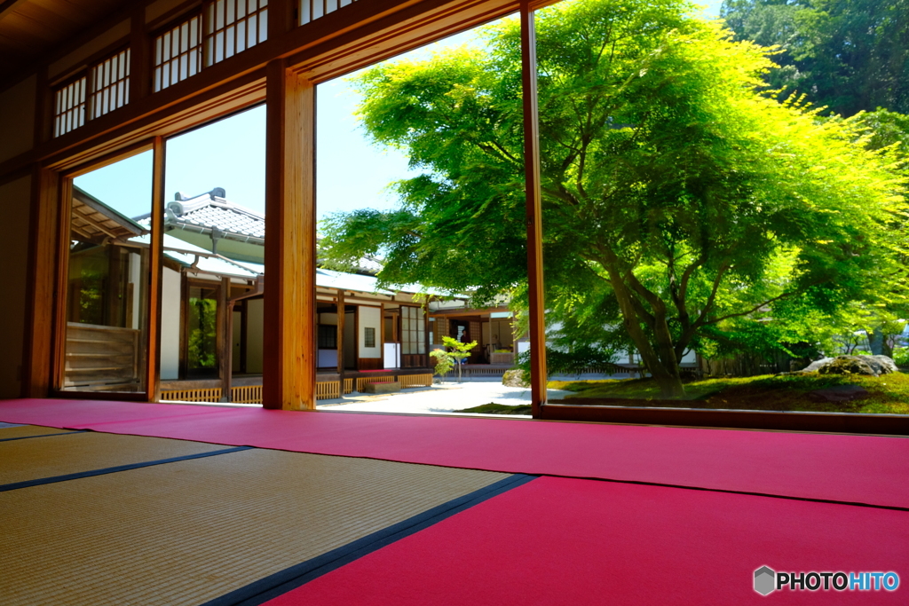 長寿寺庭園