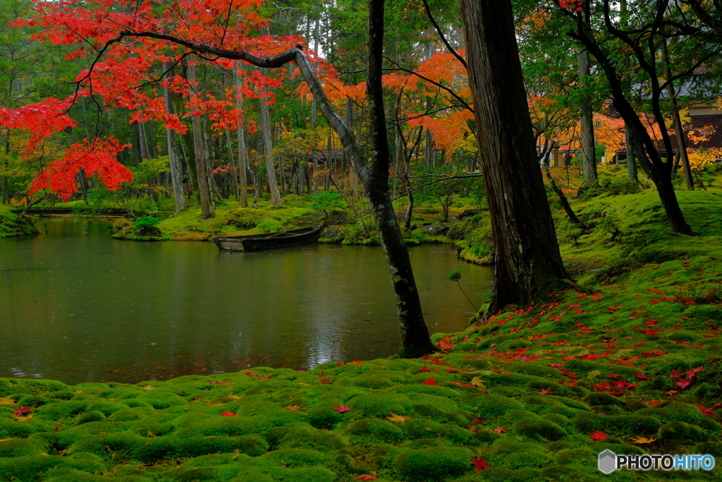 雨の西芳寺