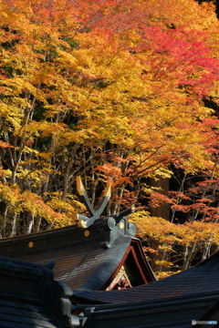 三峯神社 