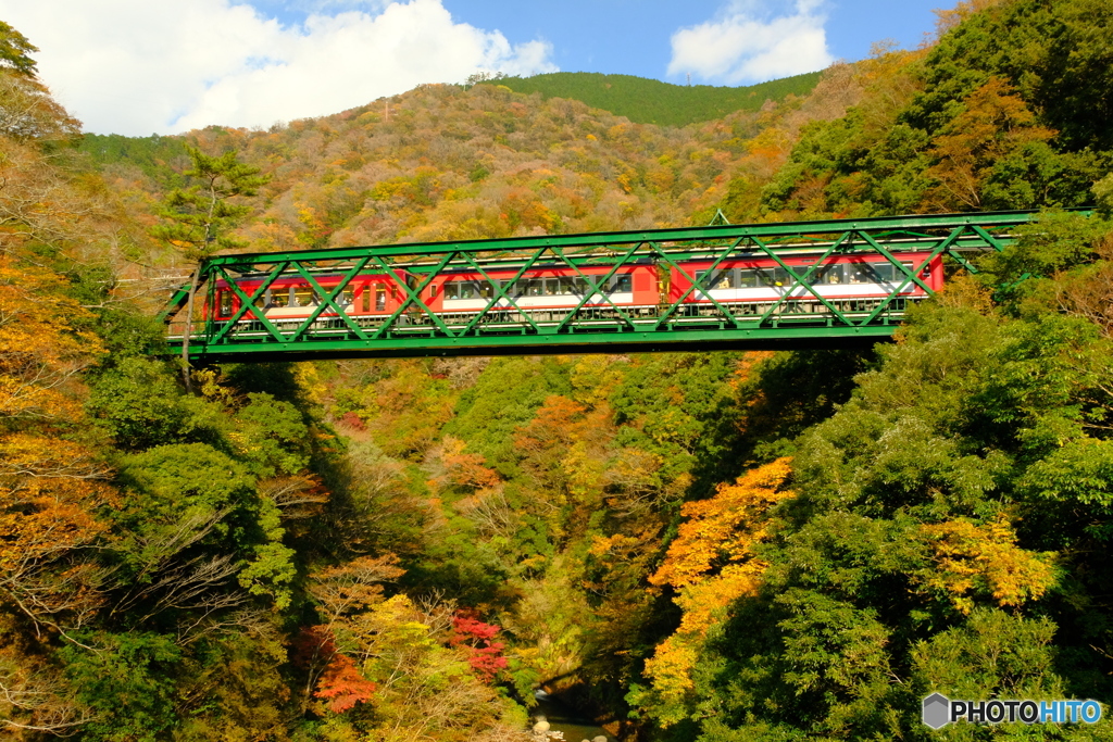 復旧間に合って良かったね 〜箱根登山鉄道〜