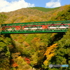 復旧間に合って良かったね 〜箱根登山鉄道〜