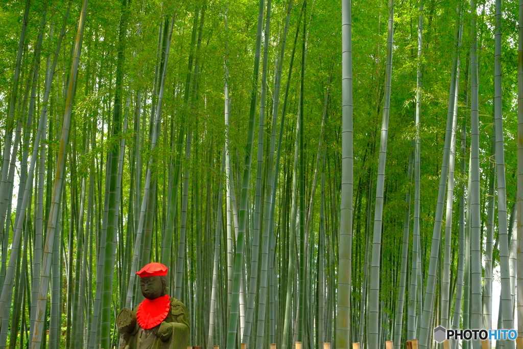 せたがや百景