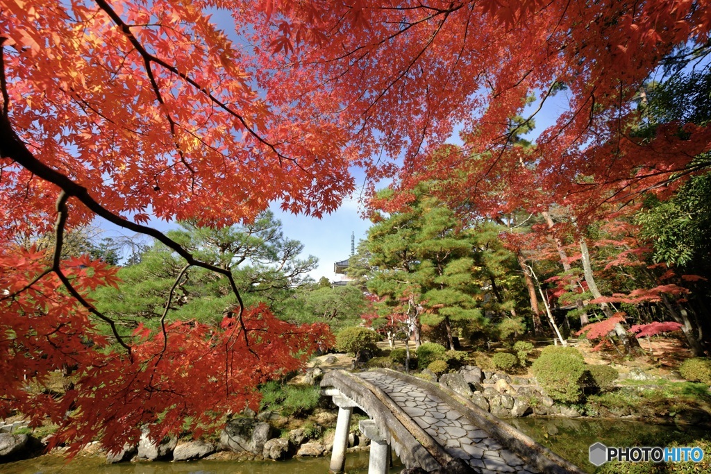 輪王寺 回遊式庭園