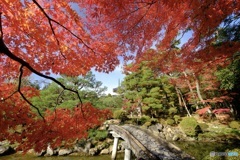 輪王寺 回遊式庭園