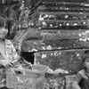 カンボジアの子供たち