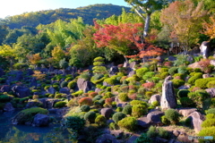 大蔵経寺 庭園