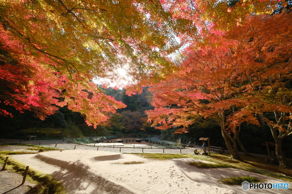 明月院本堂後庭園