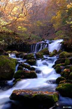 清冽な流れ 〜蓼科大滝〜